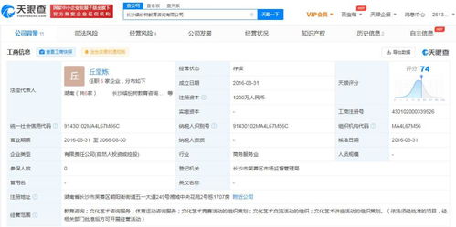 文化信息咨询 连接传统与现代的桥梁